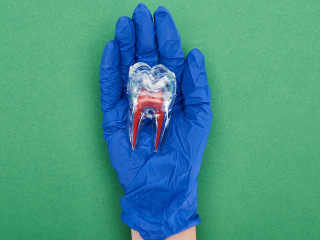 Periodontics (Gum Health)