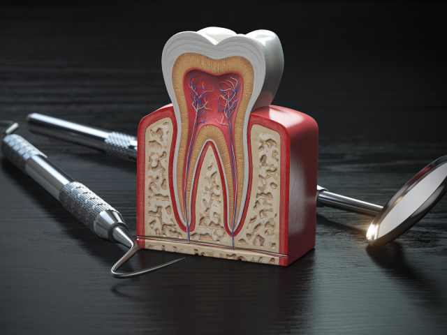 Restorative Dentistry